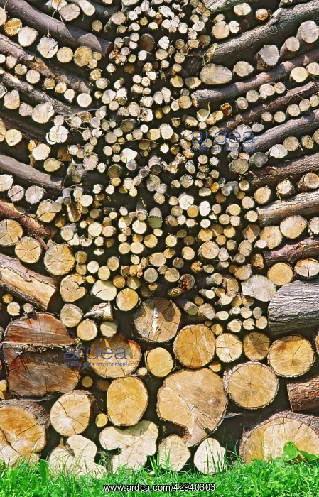 : Symmetrically stacked pile of Logs for use as firewood : Symmetrically stacked pile of Logs for use as firewood