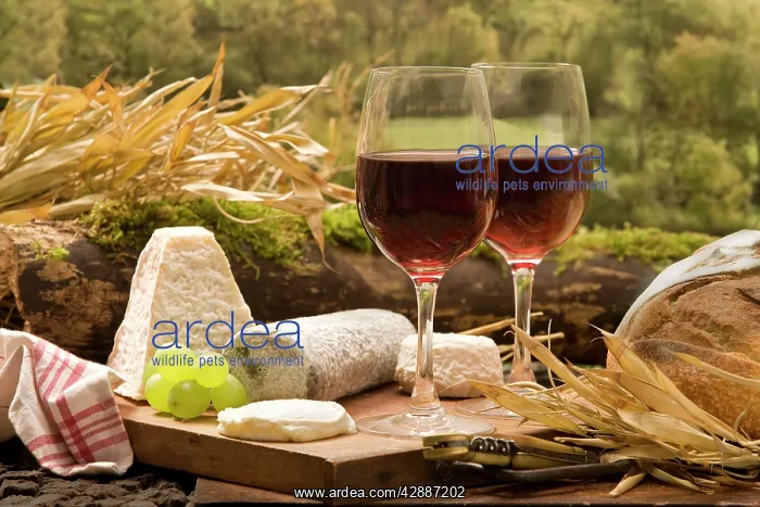 : Table - with two glasses of red wine with cheese & bread : Table - with two glasses of red wine with cheese & bread
