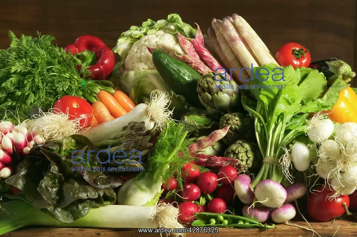  : Table full of Vegetables