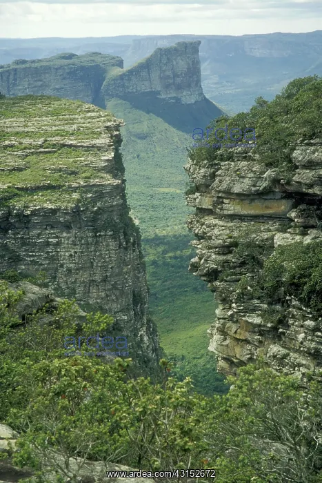 : Tablelands : Tablelands