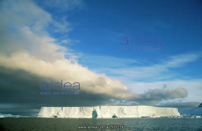  : Tabular Iceberg