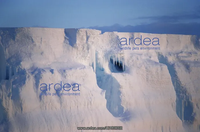 : Tabular Iceberg : Tabular Iceberg