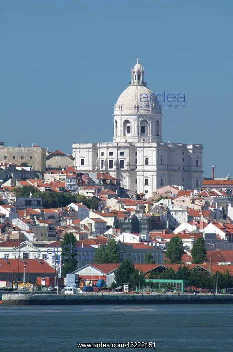 : Tagus River view of the historic Lisbon : Tagus River view of the historic Lisbon
