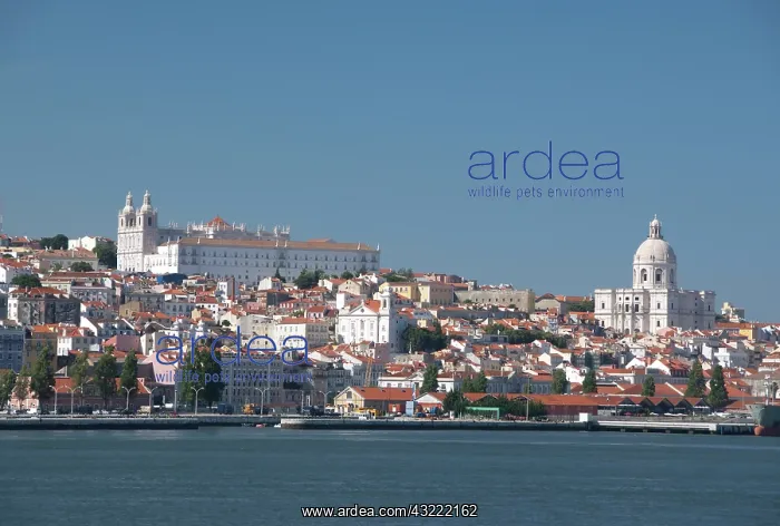 : Tagus River view of the historic Lisbon : Tagus River view of the historic Lisbon