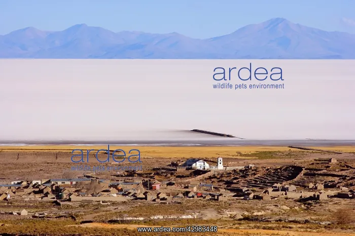 : Tahua and Salar de Uyuni - the little community : Tahua and Salar de Uyuni - the little community