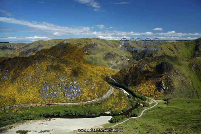  : Taieri Gorge Train and Taieri River at Hindon