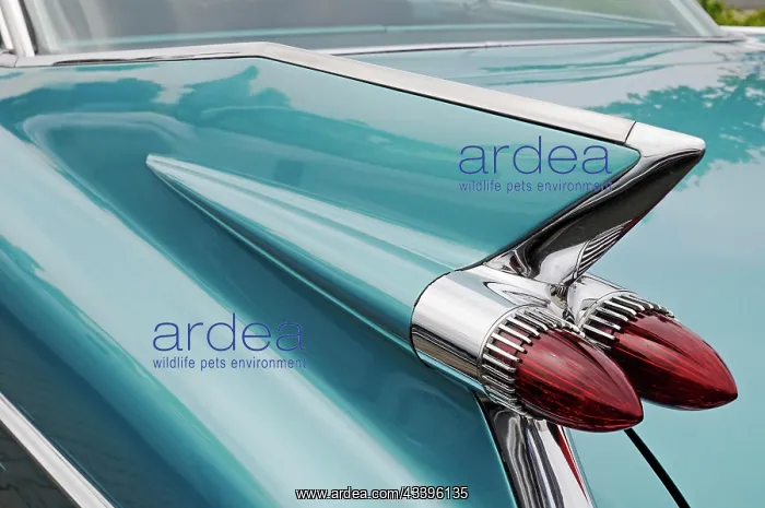: Tail fin, tail lights, Cadillac Coupe Series 62, A : Tail fin, tail lights, Cadillac Coupe Series 62, A