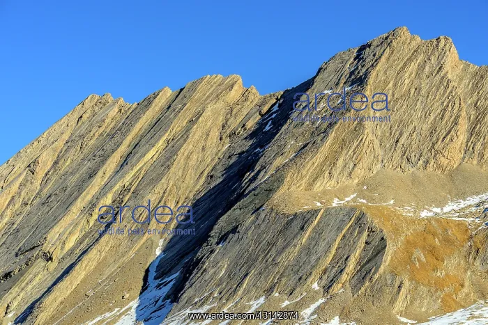: The Taillante remarkable mountain Queyras, Hautes-Alpes : The Taillante remarkable mountain Queyras, Hautes-Alpes