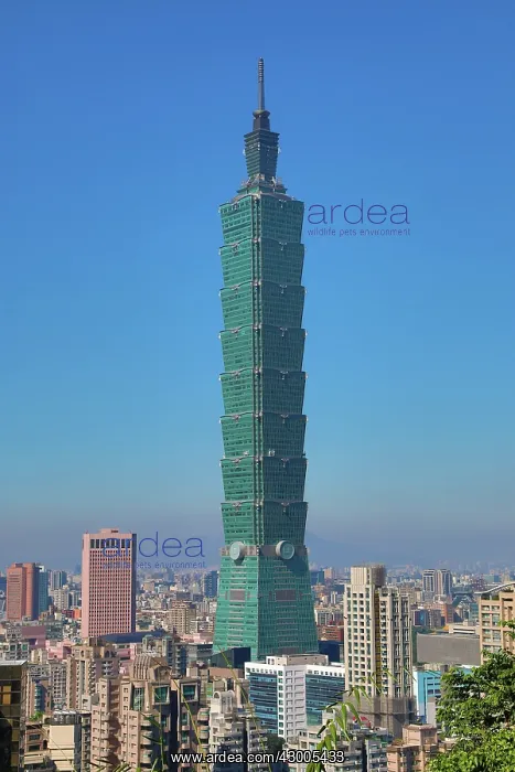 : Taipei 101 skyscraper in Xinyi District, Taipei, Taiwan : Taipei 101 skyscraper in Xinyi District, Taipei, Taiwan