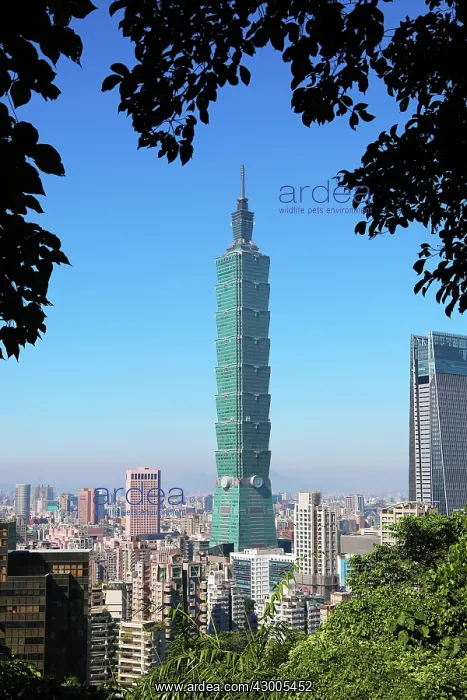 : Taipei 101 skyscraper in Xinyi District, Taipei, Taiwan : Taipei 101 skyscraper in Xinyi District, Taipei, Taiwan