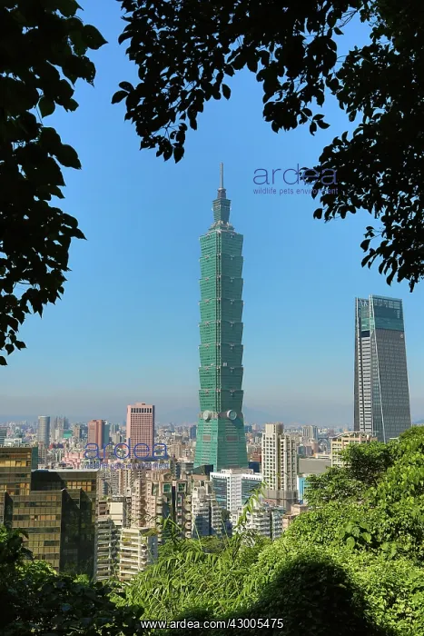 : Taipei 101 skyscraper in Xinyi District, Taipei, Taiwan : Taipei 101 skyscraper in Xinyi District, Taipei, Taiwan