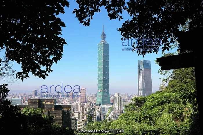 : Taipei 101 skyscraper in Xinyi District, Taipei, Taiwan : Taipei 101 skyscraper in Xinyi District, Taipei, Taiwan