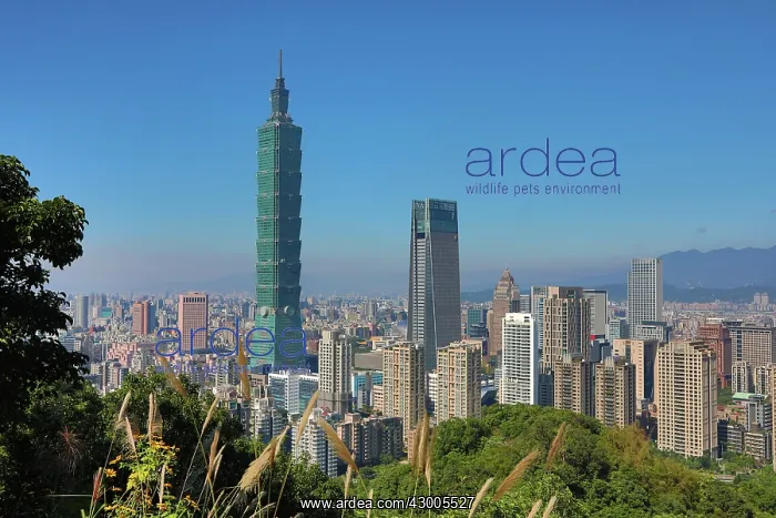 : Taipei 101 skyscraper in Xinyi District, Taipei, Taiwan : Taipei 101 skyscraper in Xinyi District, Taipei, Taiwan