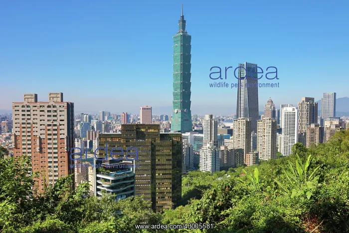 : Taipei 101 skyscraper in Xinyi District, Taipei, Taiwan : Taipei 101 skyscraper in Xinyi District, Taipei, Taiwan
