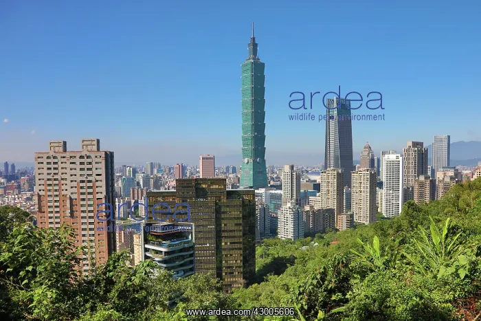 : Taipei 101 skyscraper in Xinyi District, Taipei, Taiwan : Taipei 101 skyscraper in Xinyi District, Taipei, Taiwan