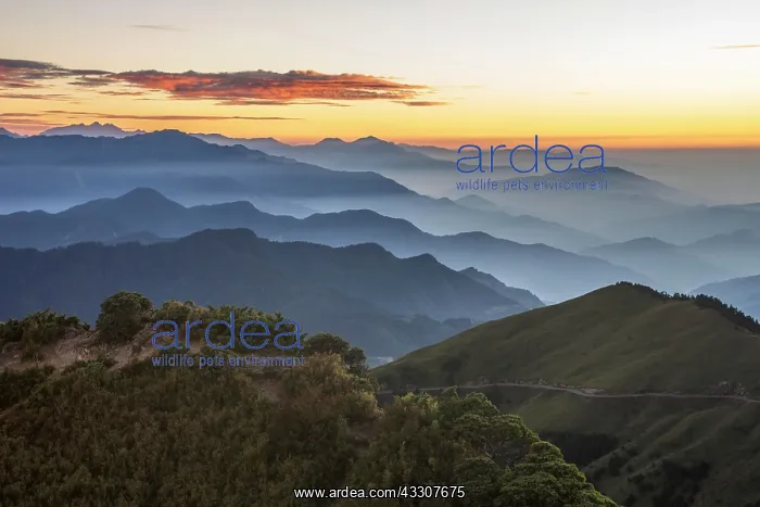 : Taiwan's highest passable road in front of the : Taiwan's highest passable road in front of the
