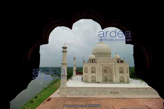 : Taj Mahal - through arch : Taj Mahal - through arch