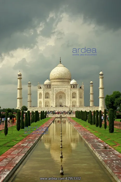 : Taj Mahal - classic view with stormy sky : Taj Mahal - classic view with stormy sky