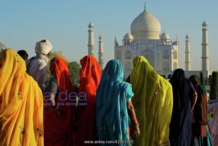 : Taj Mahal - colourful Rajasthan visitors : Taj Mahal - colourful Rajasthan visitors