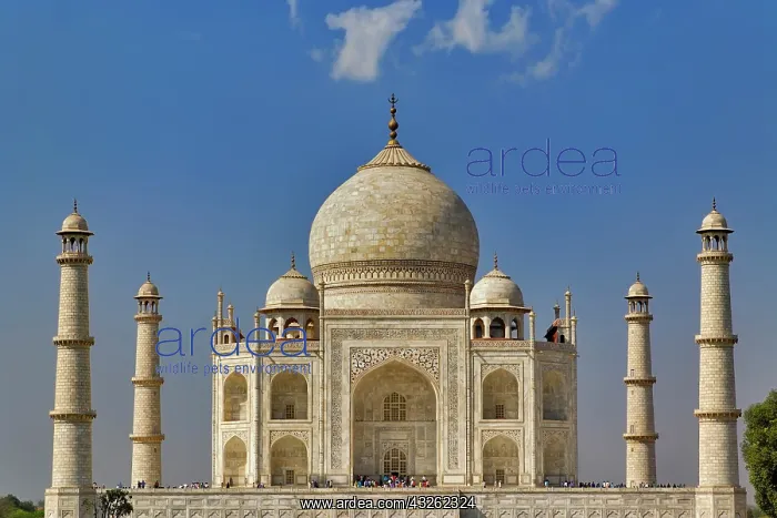  : Taj Mahal mausoleum  /  Agra, India