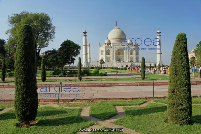  : Taj Mahal, a mausoleum located in Agra