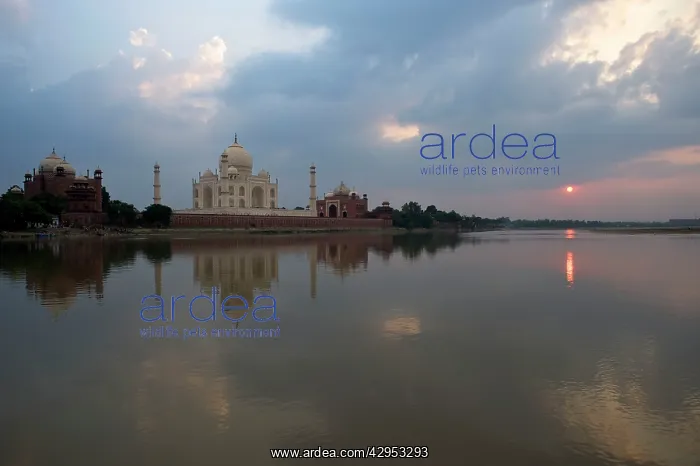 : Taj Mahal sunset - view across the Yamuna : Taj Mahal sunset - view across the Yamuna
