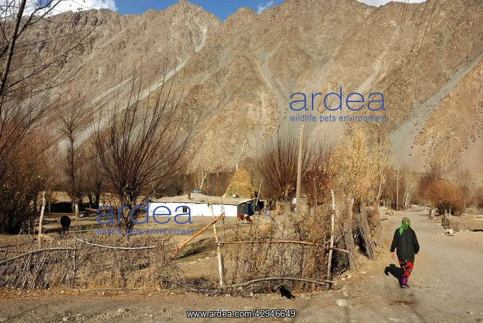  : Tajikistan - cottage in Pamir mountain - Murgab
