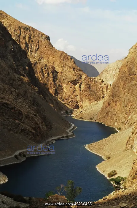 : Tajikistan, Fann Mountains, seven lakes : Tajikistan, Fann Mountains, seven lakes