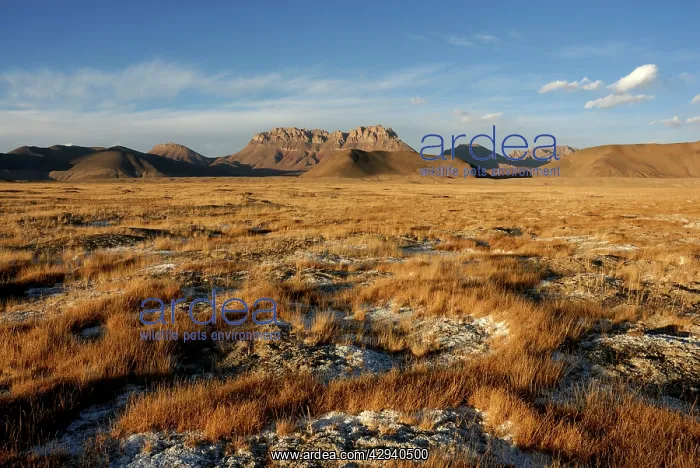  : Tajikistan - High valley in Pamir mountain - Murgab
