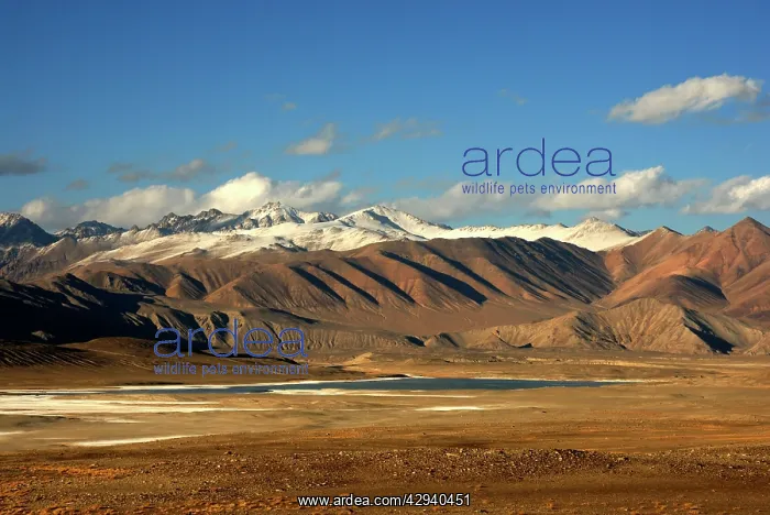 : Tajikistan - Landscape in Pamir mountain - Murgab