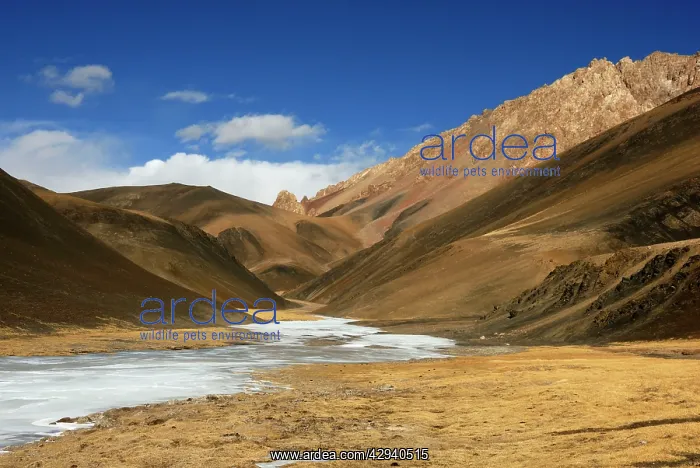  : Tajikistan - Landscape in Pamir mountain - Murgab