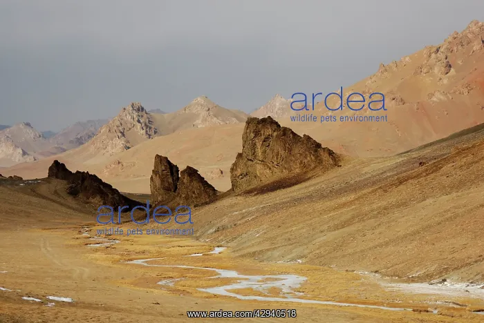  : Tajikistan - Landscape in Pamir mountain - Murgab