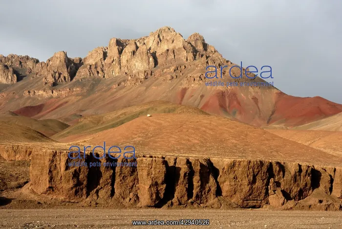  : Tajikistan - Landscape in Pamir mountain - Murgab