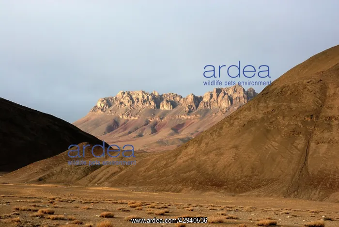  : Tajikistan - Landscape in Pamir mountain - Murgab