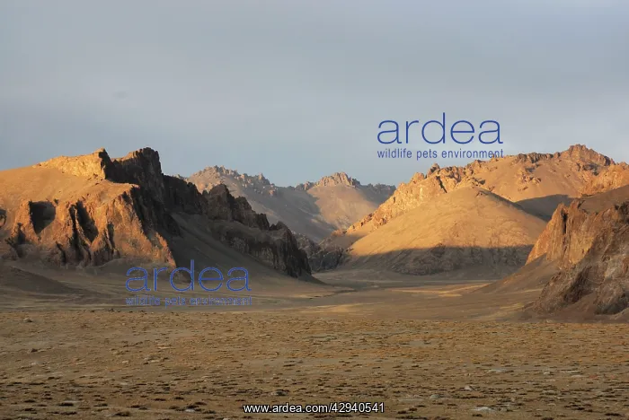  : Tajikistan - Landscape in Pamir mountain - Murgab