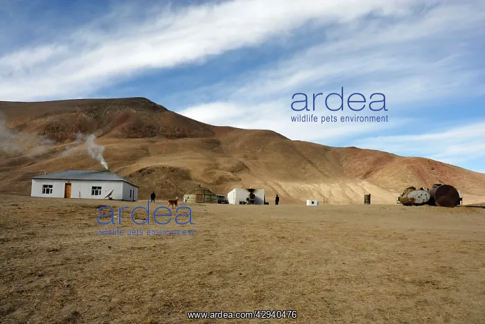  : Tajikistan - small village in Pamir mountain - Murgab