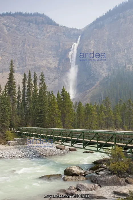  : Takakkaw Falls 381m high