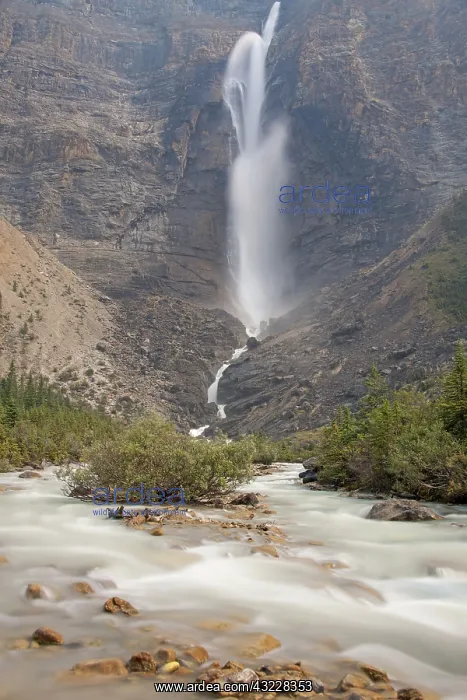 : Takakkaw Falls 381m high : Takakkaw Falls 381m high