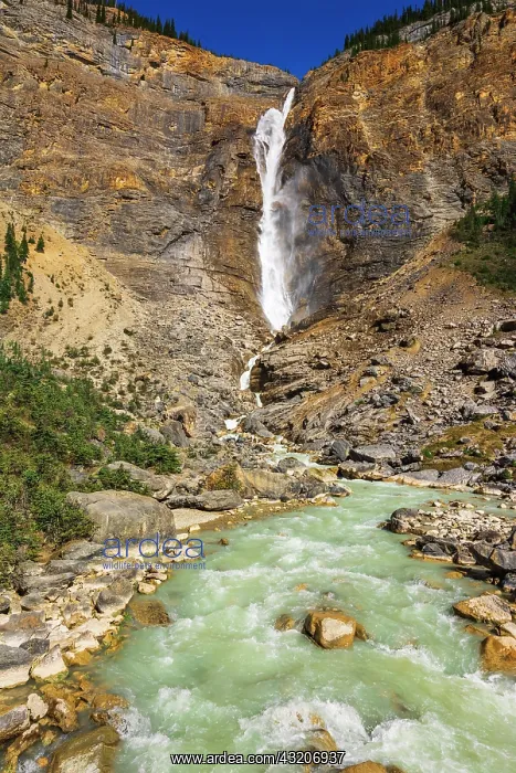 : Takakkaw Falls, Yoho National Park, British Columbia, Canada : Takakkaw Falls, Yoho National Park, British Columbia, Canada