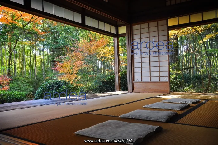 : Takeguchidera temple in autumn in Ky&, x134bec; Japan : Takeguchidera temple in autumn in Ky&, x134bec; Japan