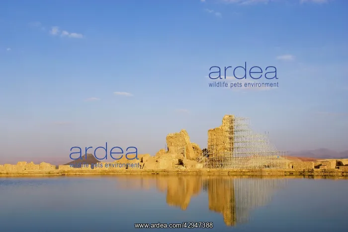  : Takht-e Soleiman. Ruins of Takht-e Soleiman, the
