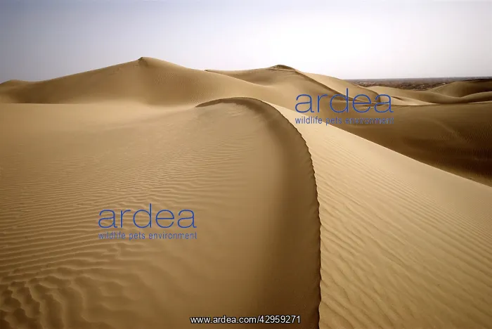 : Taklamakan desert dunes : Taklamakan desert dunes