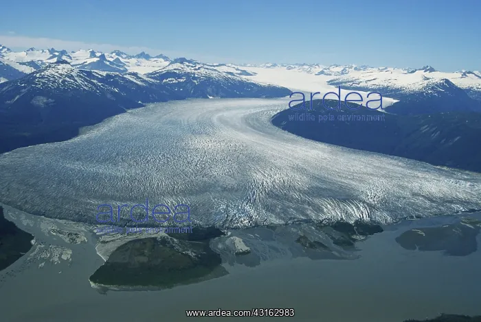 : Taku Glacier : Taku Glacier