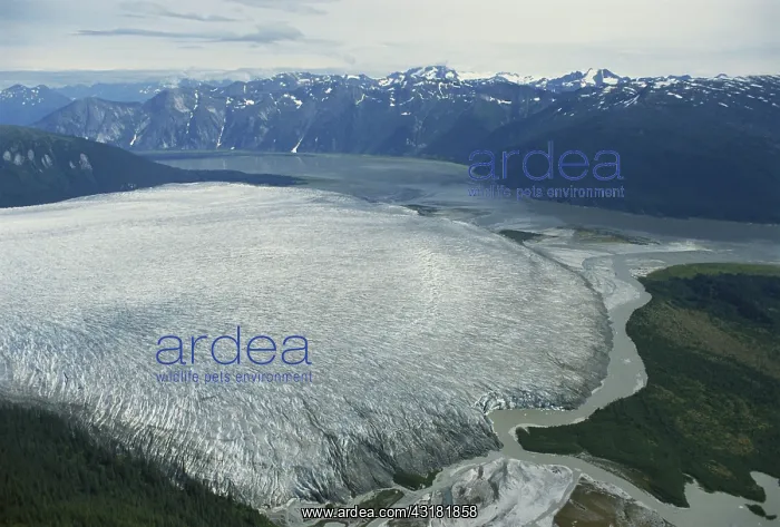 : Taku Glacier : Taku Glacier