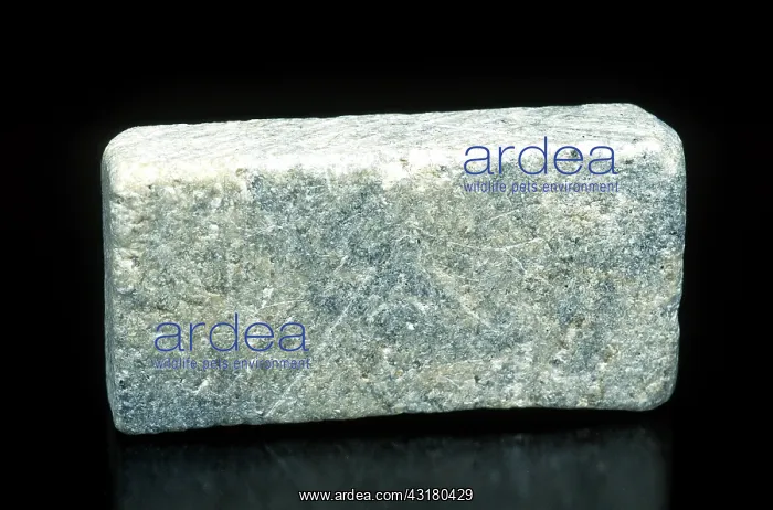 : Talc (soapstone) : Talc (soapstone)