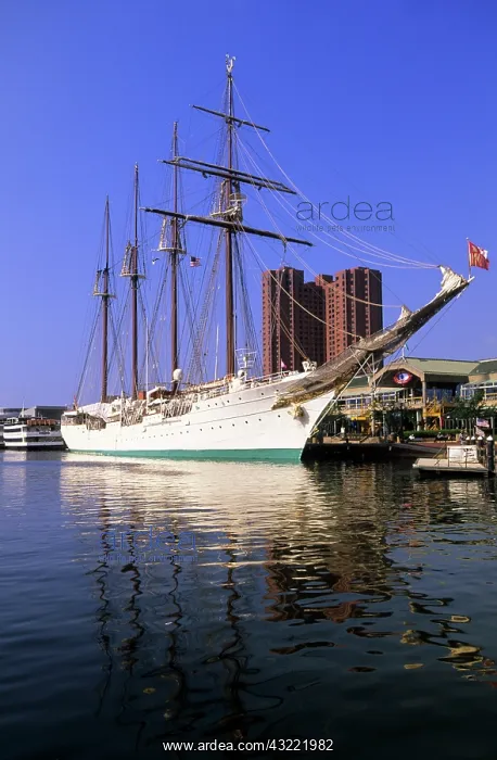 : Tall clipper cruise ship Baltimore harbor : Tall clipper cruise ship Baltimore harbor