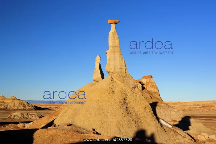 : Tall Hoodoo - eroded clay sculptures with rocks : Tall Hoodoo - eroded clay sculptures with rocks