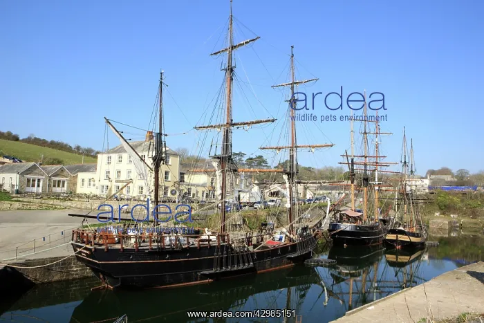 : Tall Sailing Ships : Tall Sailing Ships