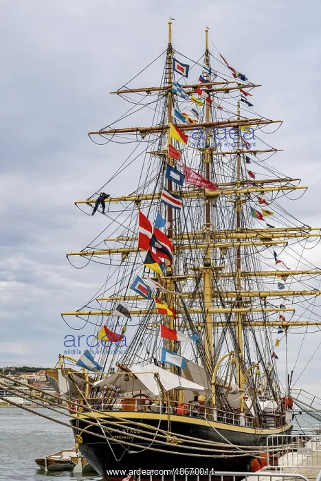 : The Tall Ship Races in port in Lisbon, Portugal : The Tall Ship Races in port in Lisbon, Portugal