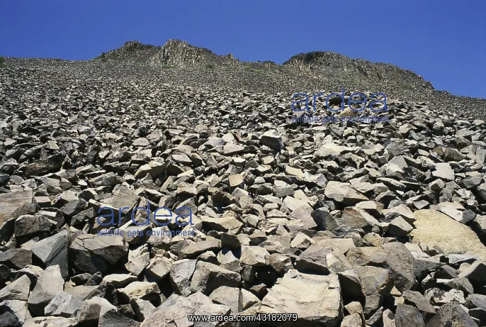 : Talus-covered Slope : Talus-covered Slope